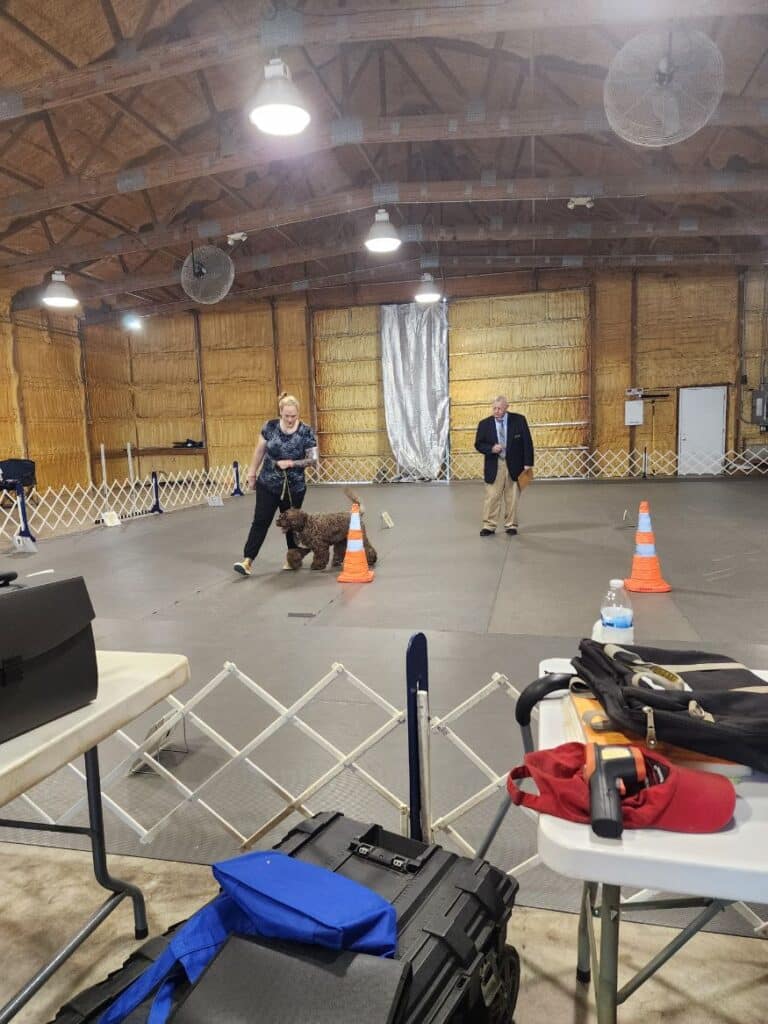 Kennel Club of Columbus Indiana 2025 Show