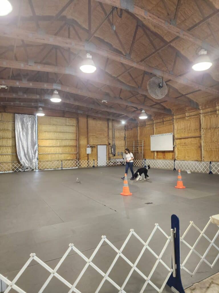 Kennel Club of Columbus Indiana 2025 Show