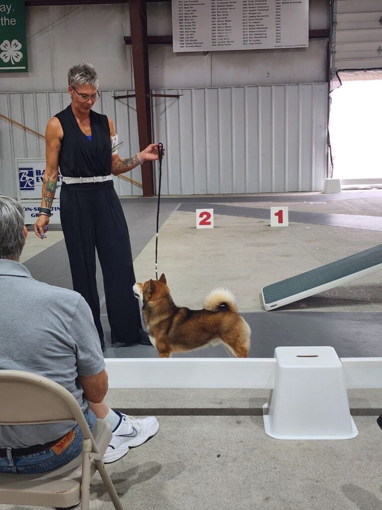 Kennel Club of Columbus Indiana 2025 Show