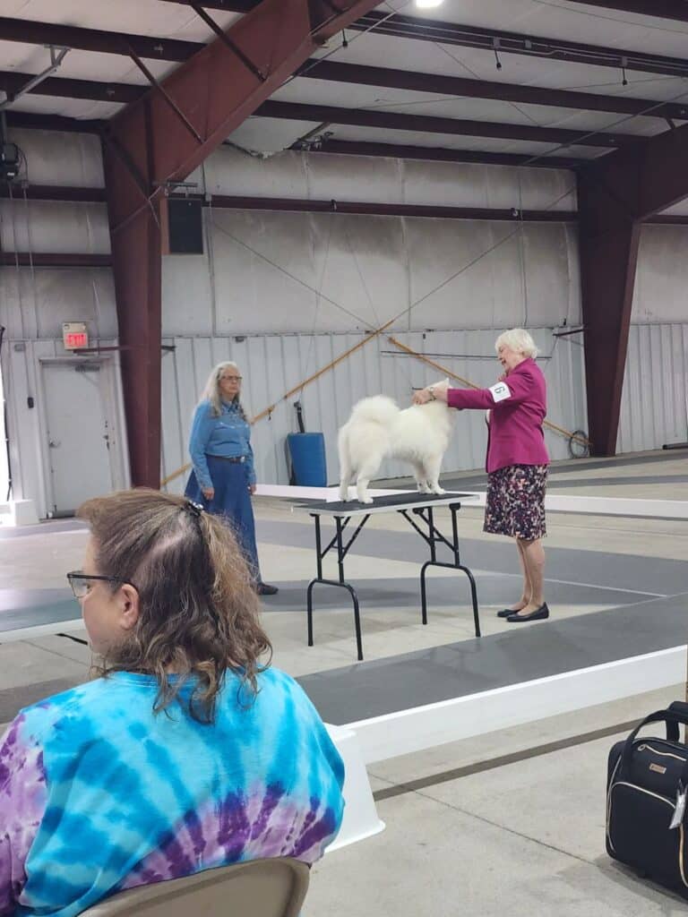 Kennel Club of Columbus Indiana 2025 Show
