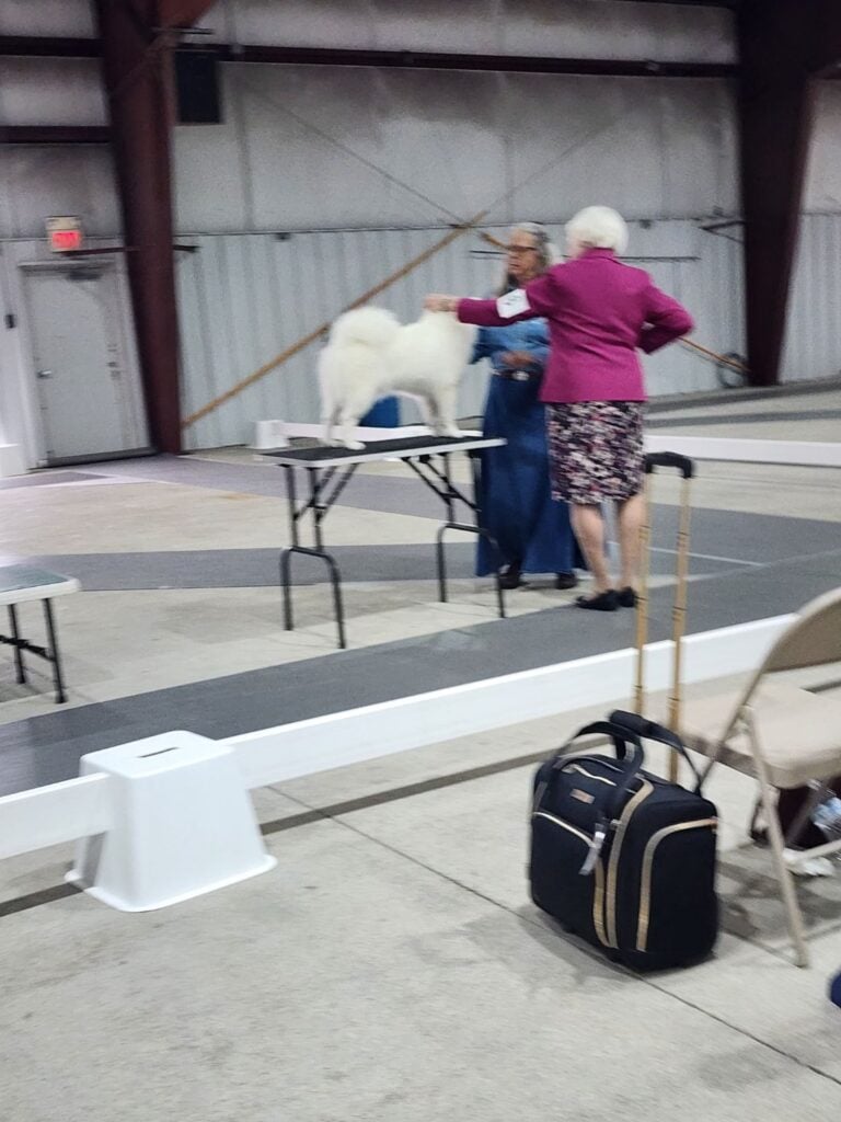 Kennel Club of Columbus Indiana 2025 Show