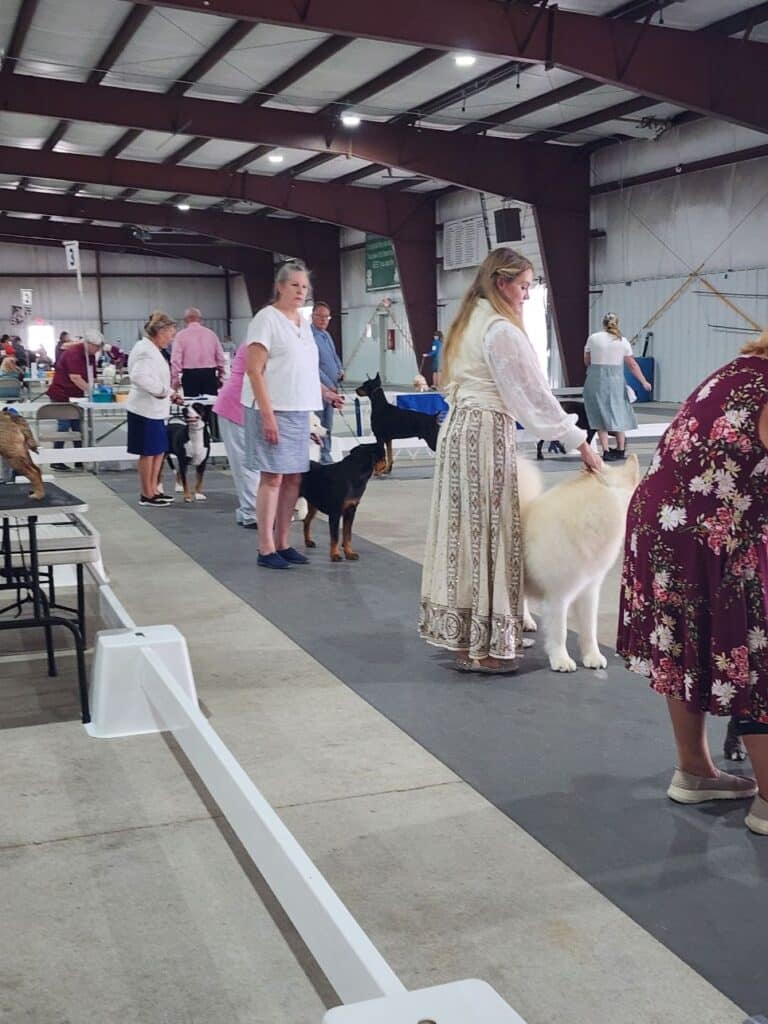 Kennel Club of Columbus Indiana 2025 Show