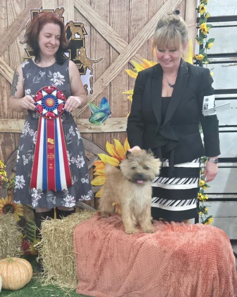 Kennel Club of Columbus Indiana 2025 Show