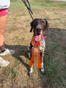 Kennel Club of Columbus Indiana 2025 Show