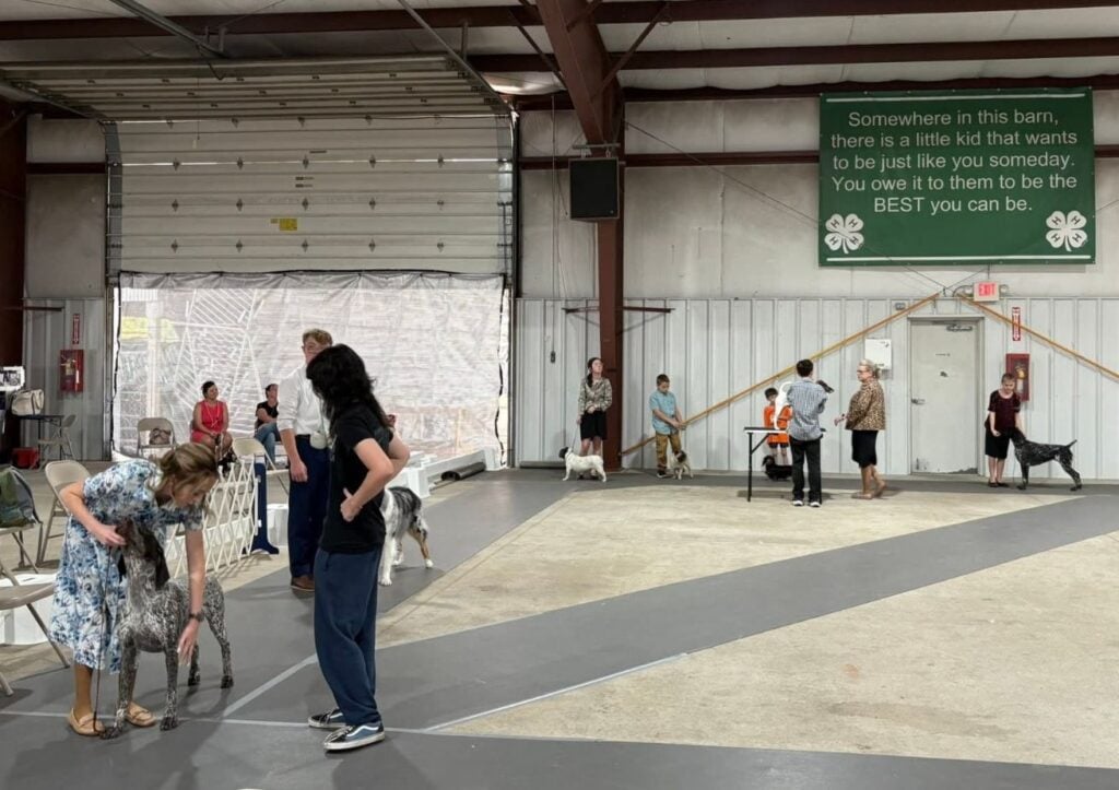 Kennel Club of Columbus Indiana 2025 Show