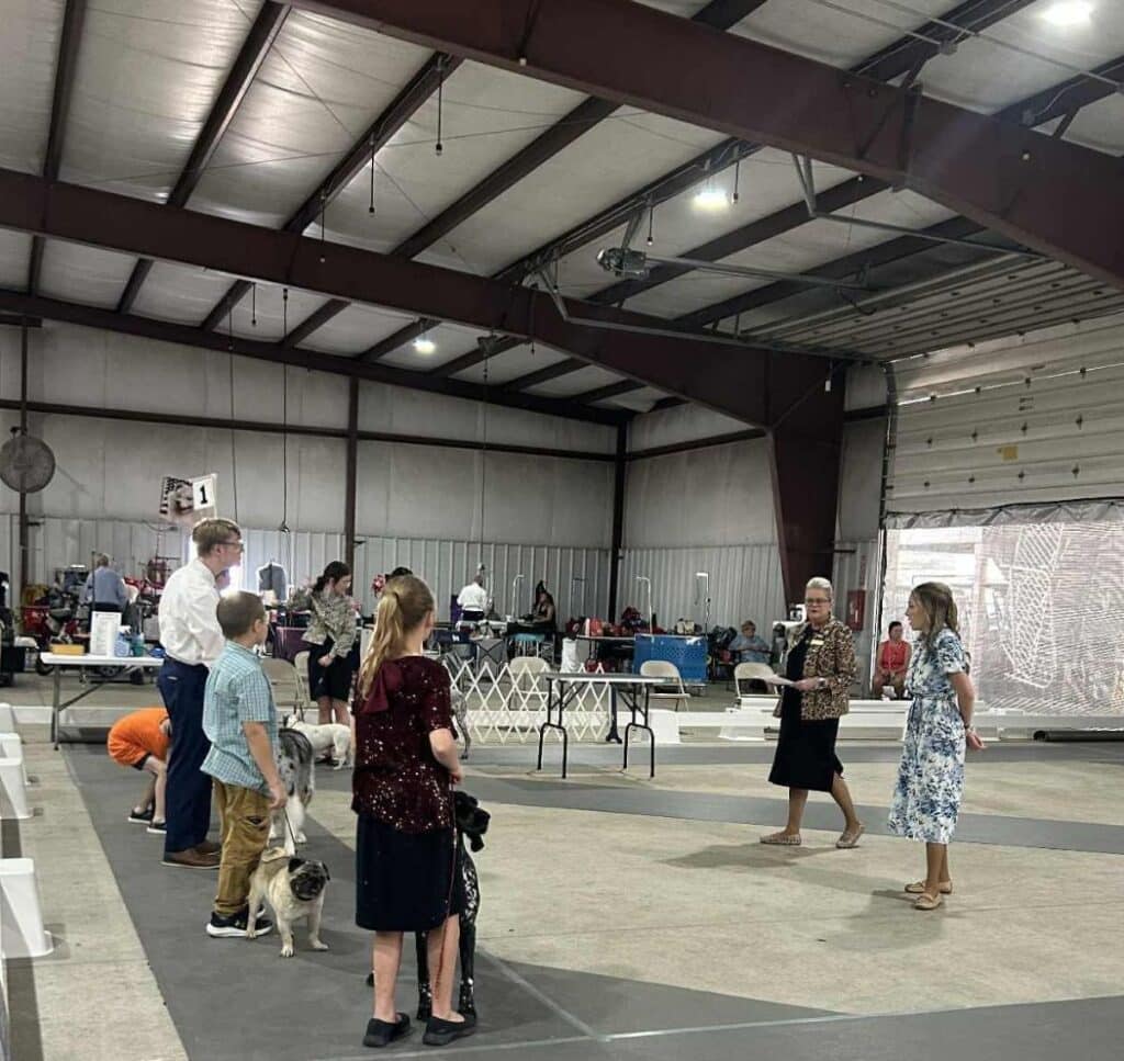 Kennel Club of Columbus Indiana 2025 Show