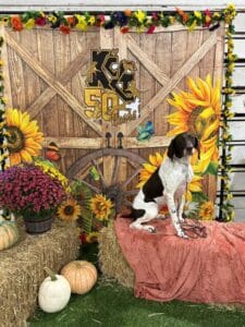 Kennel Club of Columbus Indiana 2025 Show