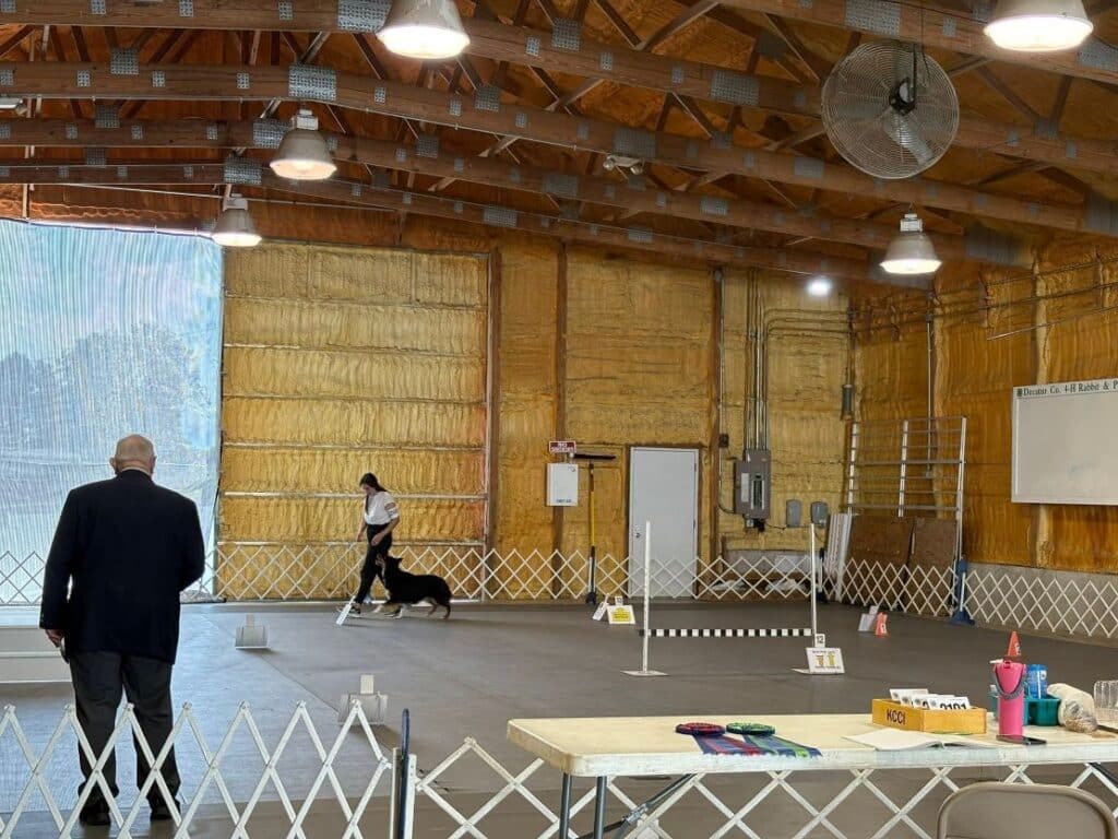 Kennel Club of Columbus Indiana 2025 Show