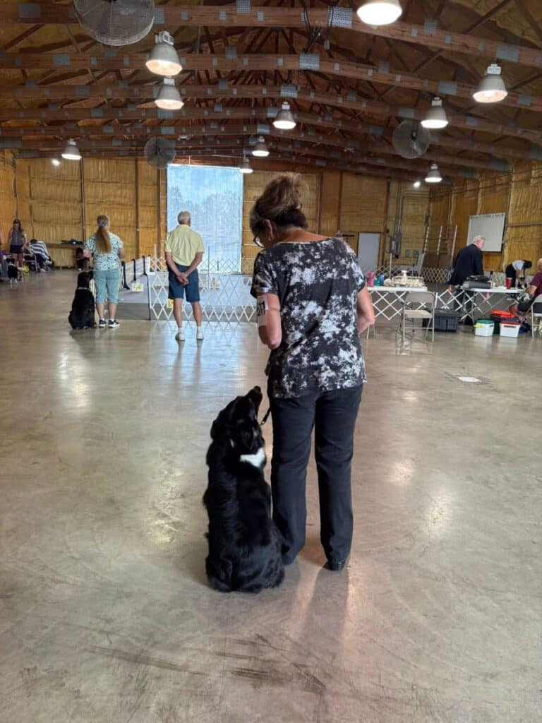 Kennel Club of Columbus Indiana 2025 Show