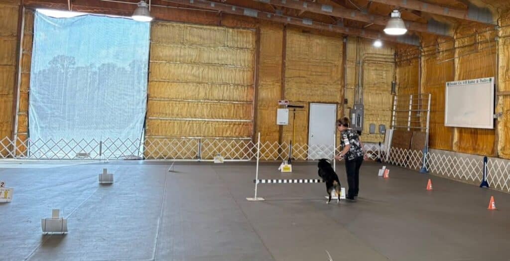 Kennel Club of Columbus Indiana 2025 Show