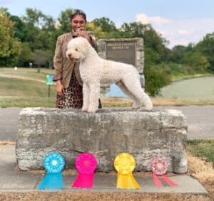 Kennel Club of Columbus Indiana 2025 Show