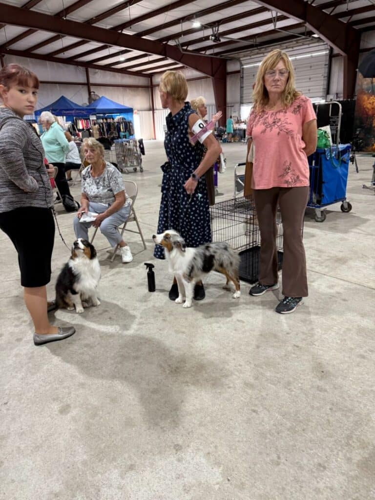 Kennel Club of Columbus Indiana 2025 Show