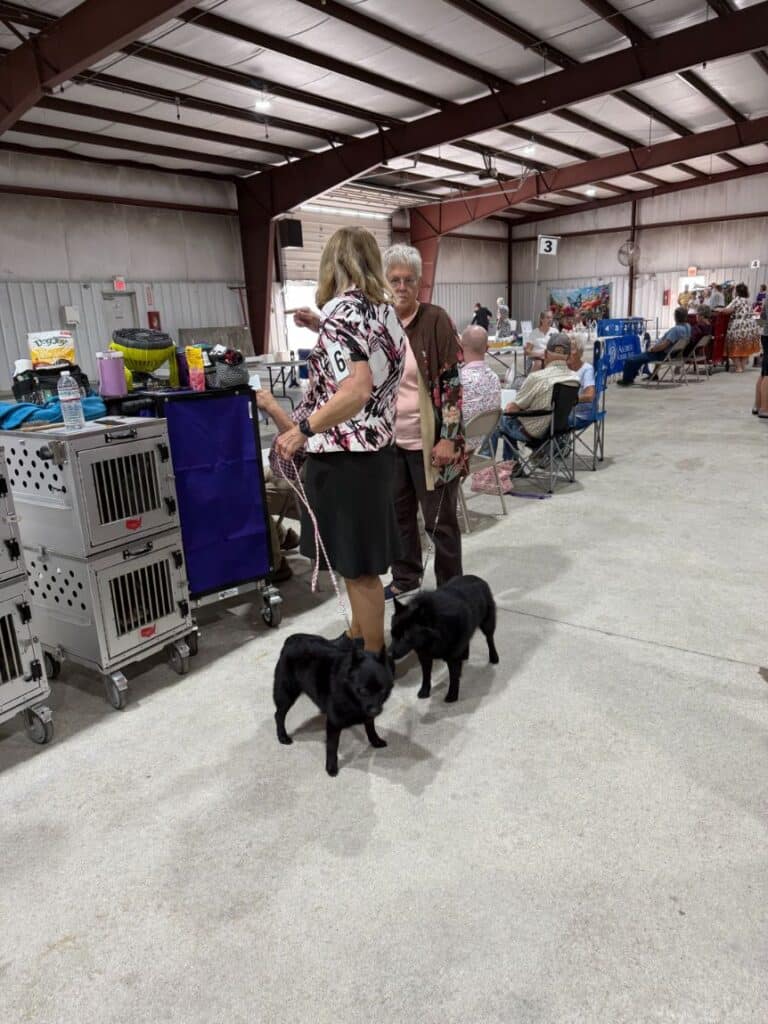 Kennel Club of Columbus Indiana 2025 Show
