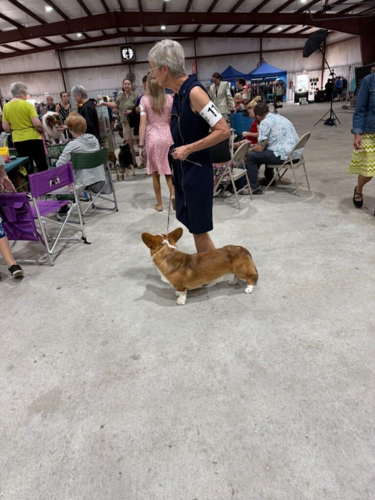 Kennel Club of Columbus Indiana 2025 Show