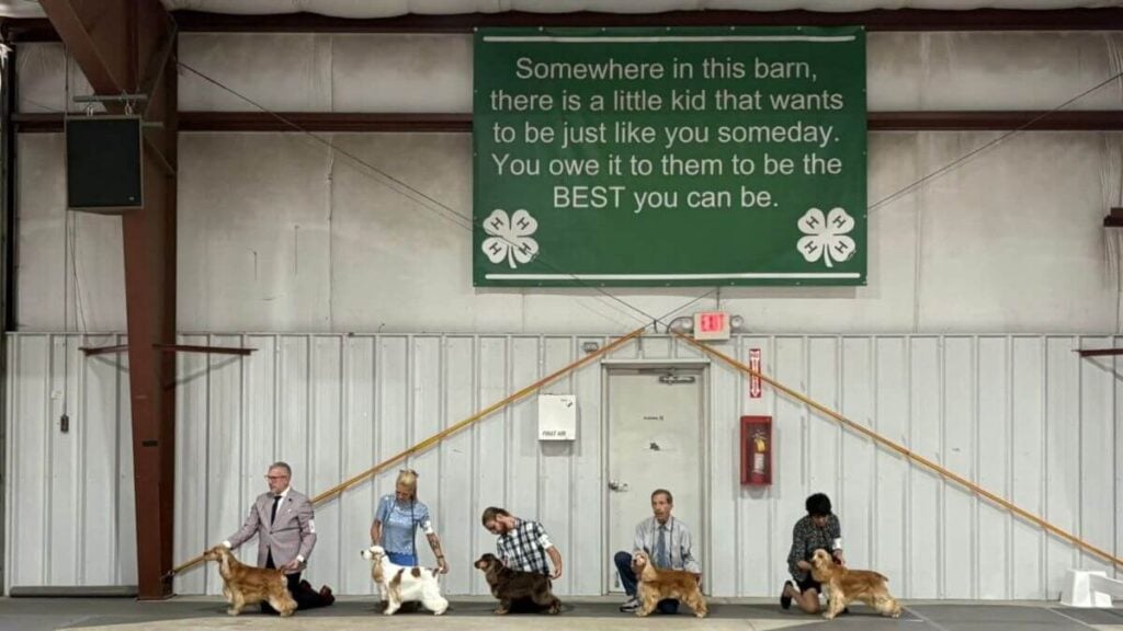 Kennel Club of Columbus Indiana 2025 Show