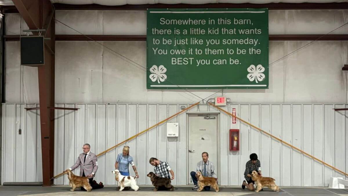 Kennel Club of Columbus Indiana 2025 Show