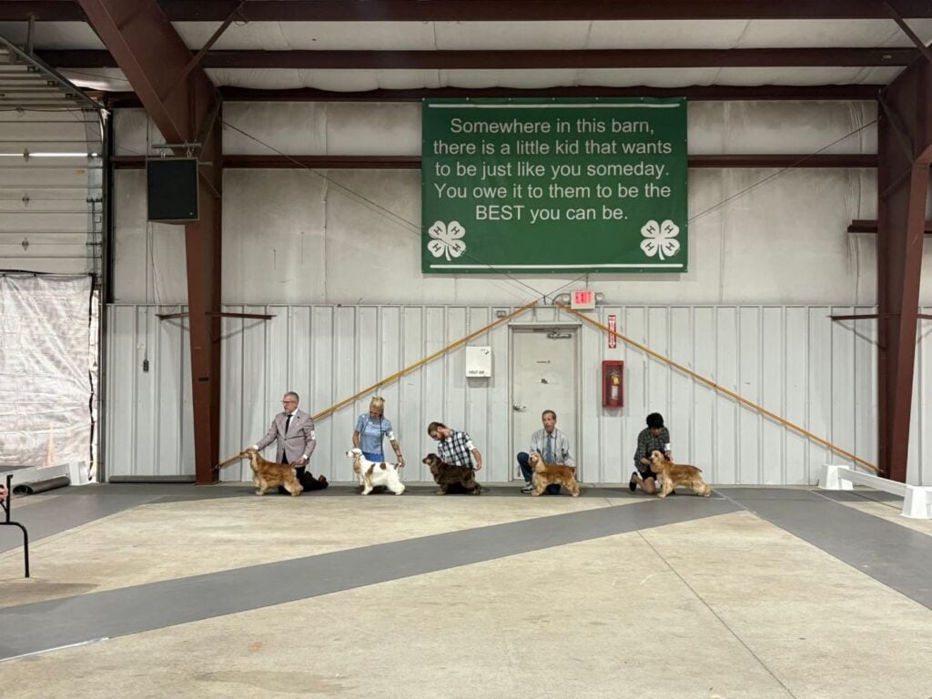 Kennel Club of Columbus Indiana 2025 Show