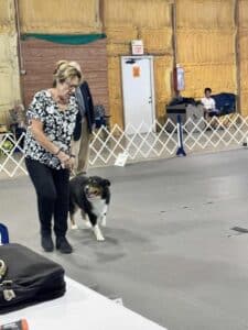 Kennel Club of Columbus Indiana 2025 Show