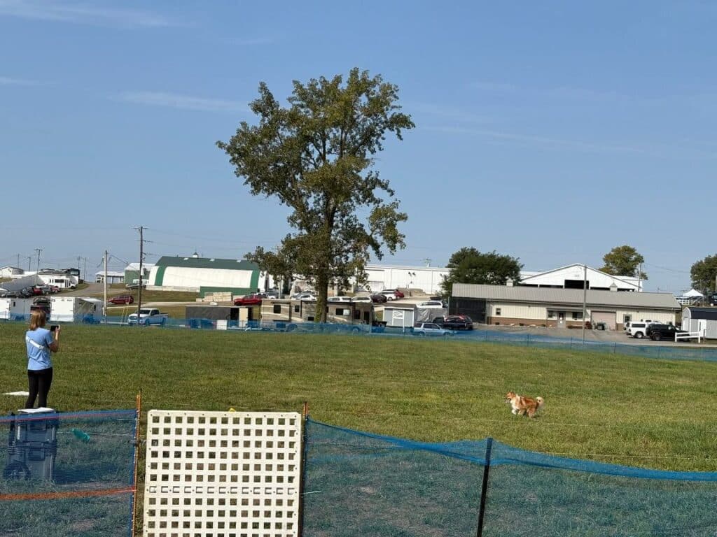 Kennel Club of Columbus Indiana 2025 Show