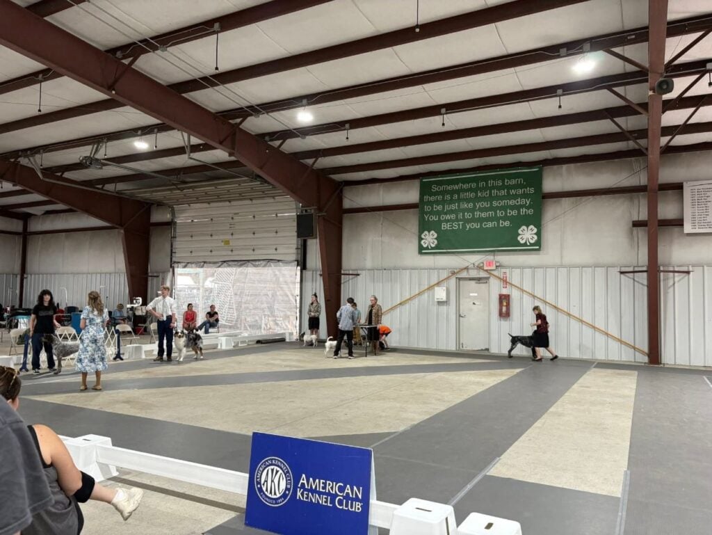 Kennel Club of Columbus Indiana 2025 Show