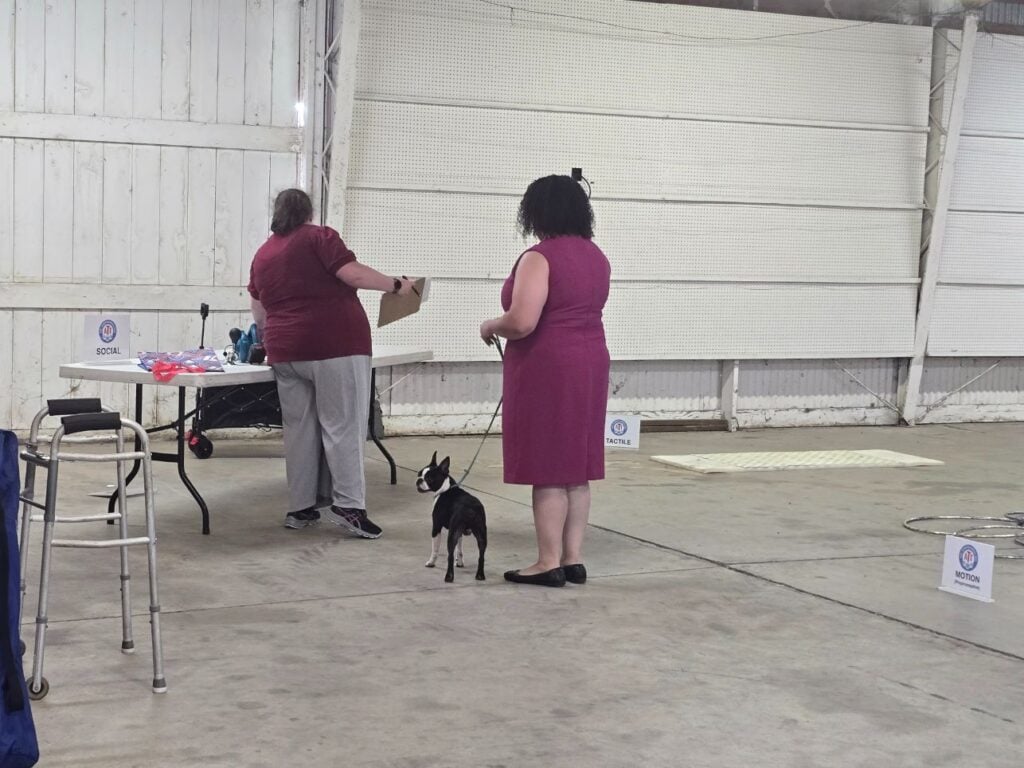 Kennel Club of Columbus Indiana 2025 Show