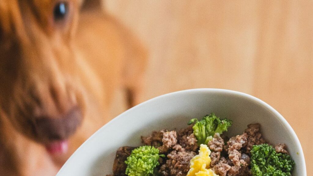Beef & Broccoli