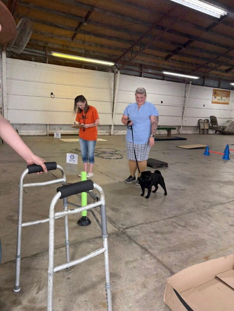 Kennel Club of Columbus Indiana 2025 Show