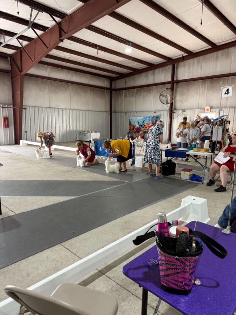Kennel Club of Columbus Indiana 2025 Show