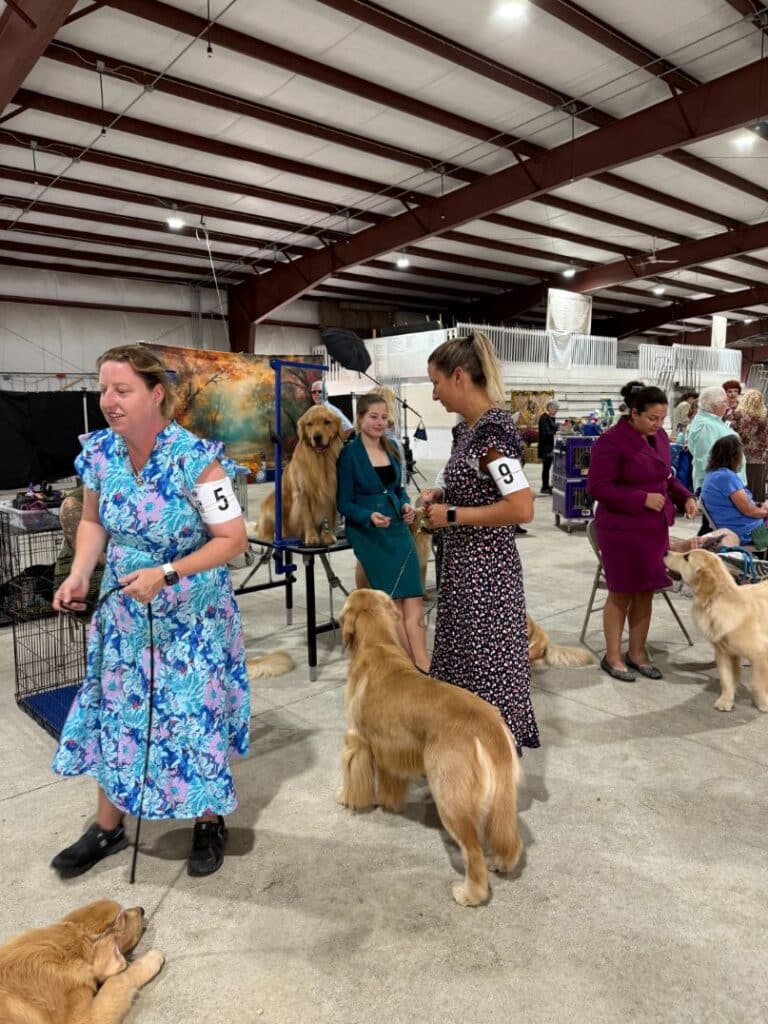 Kennel Club of Columbus Indiana 2025 Show