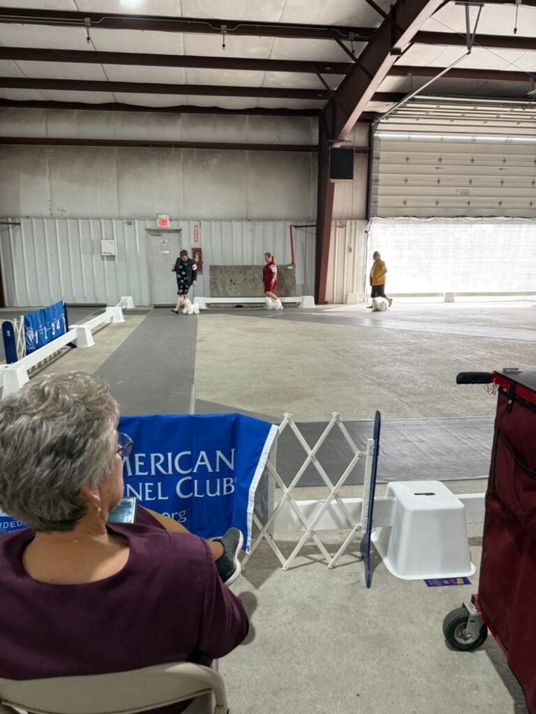 Kennel Club of Columbus Indiana 2025 Show