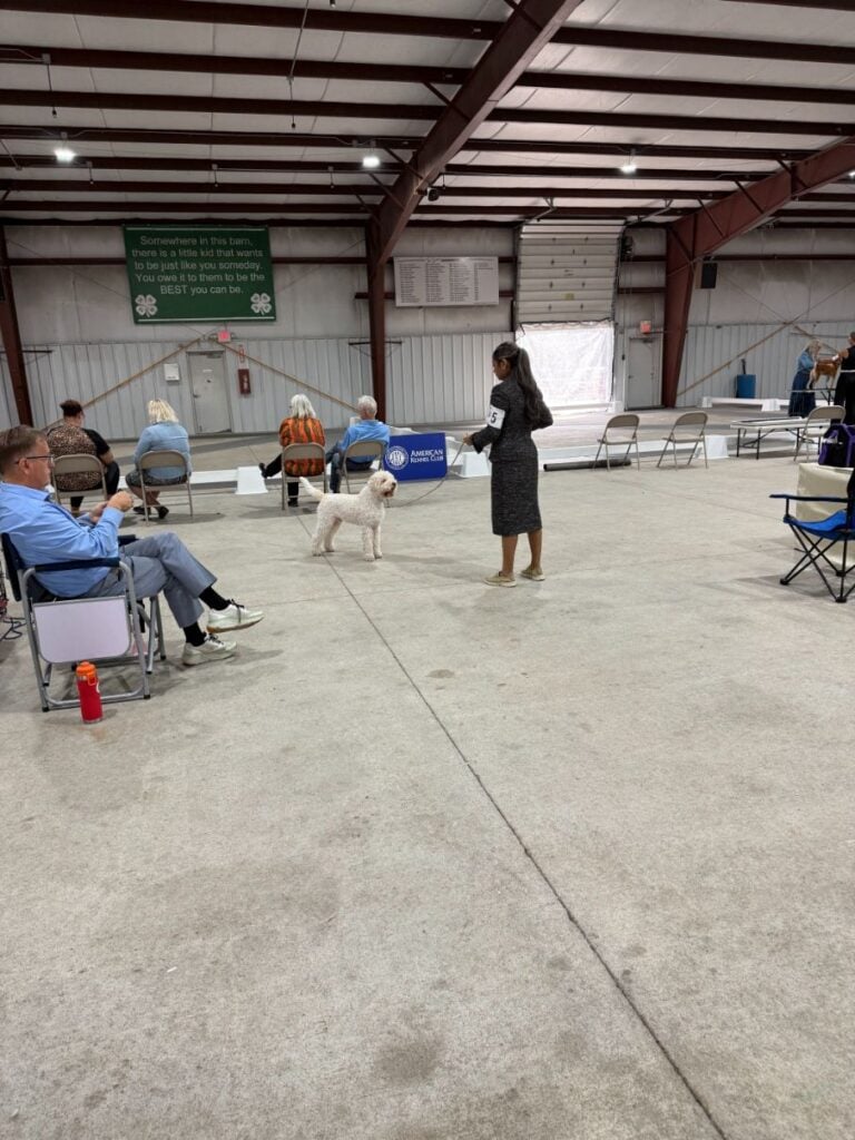 Kennel Club of Columbus Indiana 2025 Show