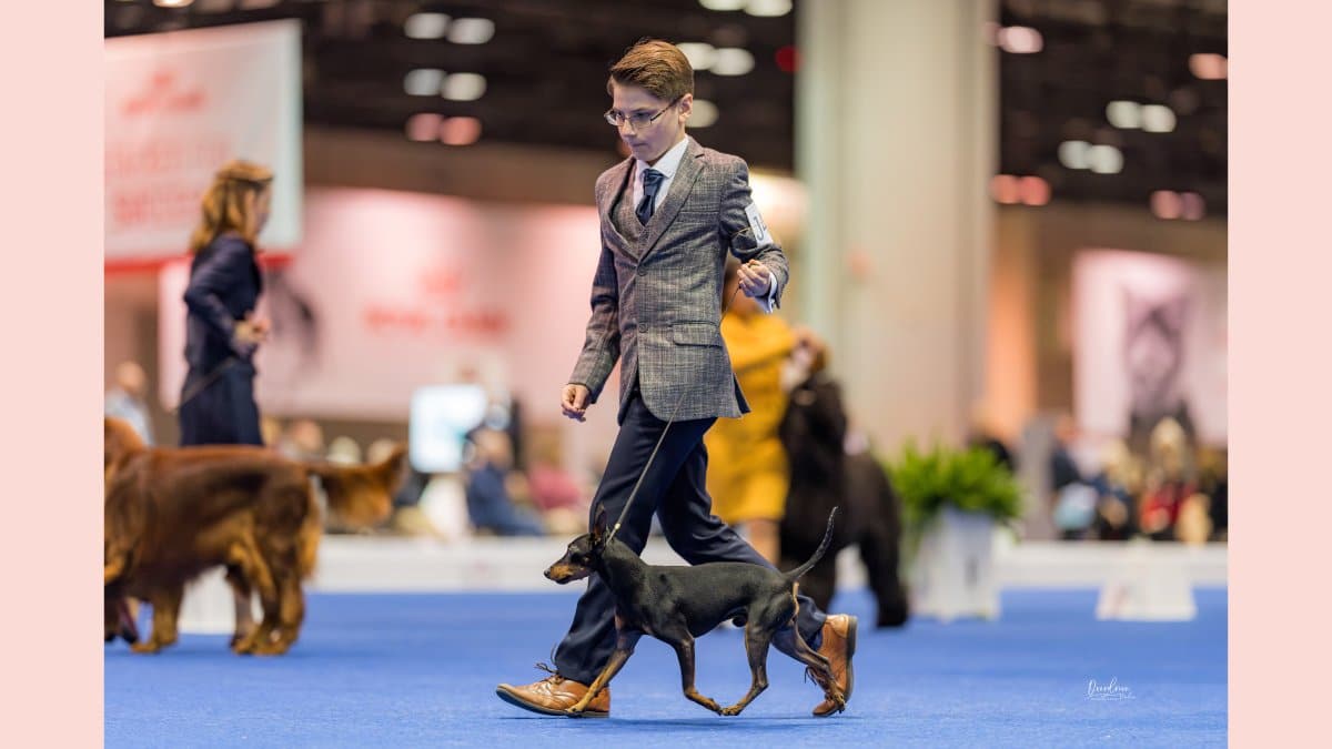 Hadrian deftly moves his Toy Manchester.