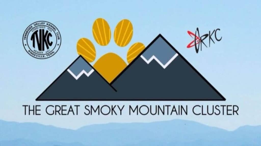The Great Smoky Mountain Cluster