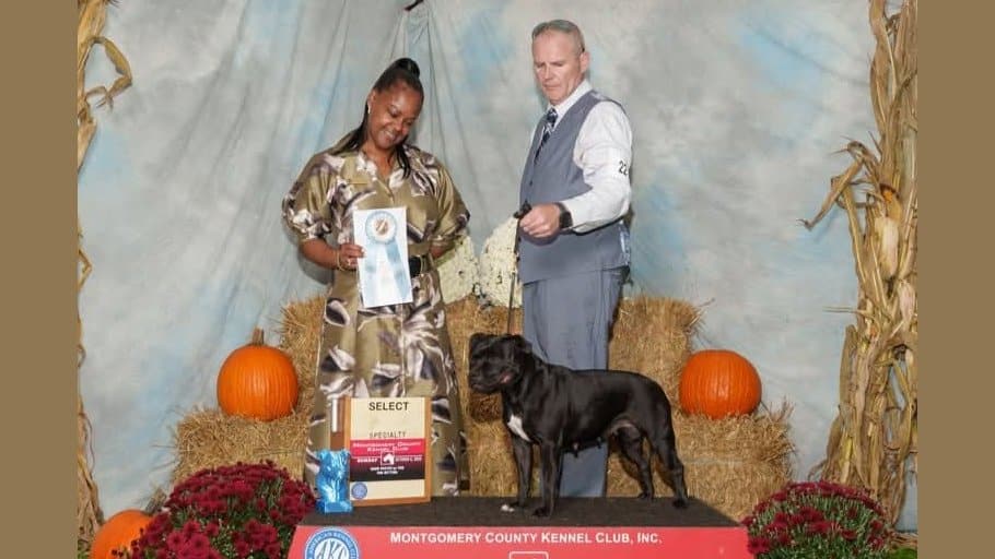 Kimberly Washington - 2025 Montgomery County Kennel Club Breed Judge