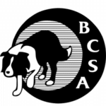 Border Collie Society of America JEC