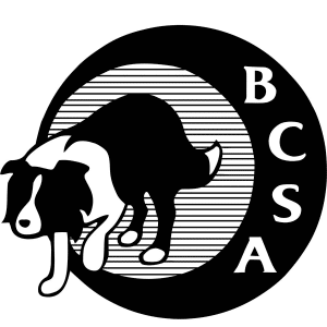 Picture of Border Collie Society of America JEC