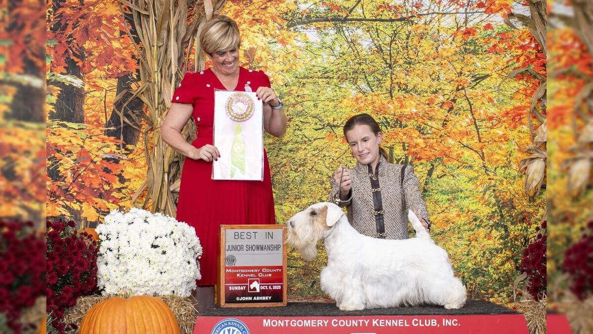 2025 Montgomery County Kennel Club: Best Junior Handler - Taylor Stone