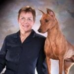 Kimberle Schiff, German Pinscher Club of America