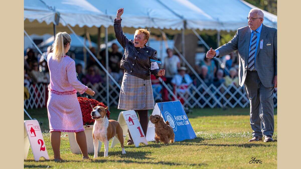 2025 Montgomery County Kennel Club: Best Bred-by-Exhibitor - Merle Taylor
