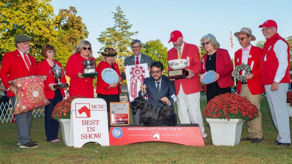 Montgomery County Kennel Club: Best in Show