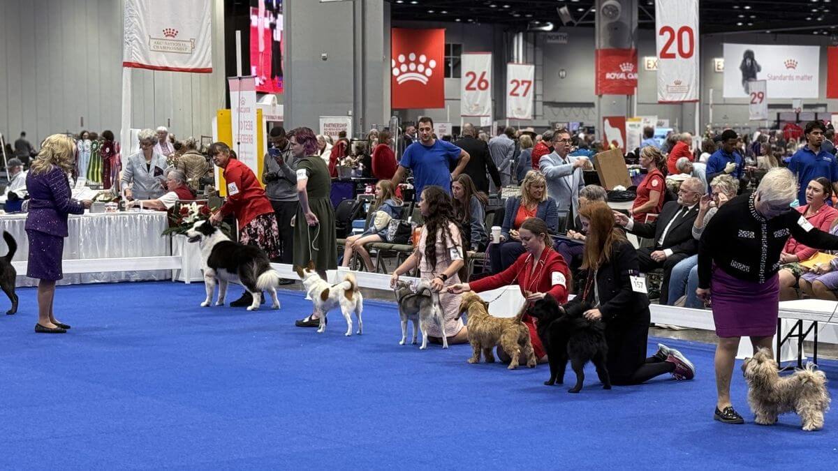 Miscellaneous & FSS: Varied & Versatile