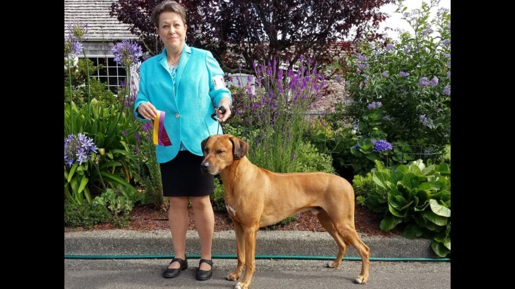 Cindy A Pike with a Rhodesian Ridgeback