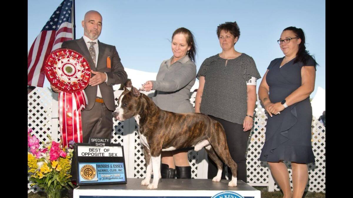 Olaf Verhorevoort – 2025 Morris & Essex Kennel Club Breed Judge