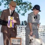 Robin Stansell – 2025 Morris & Essex Kennel Club Breed Judge