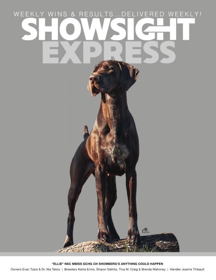 Showsight Express 12/11/2025 Front Cover