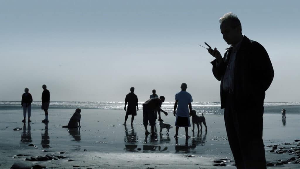 Dogs and people at the beach