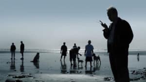 Dogs and people at the beach