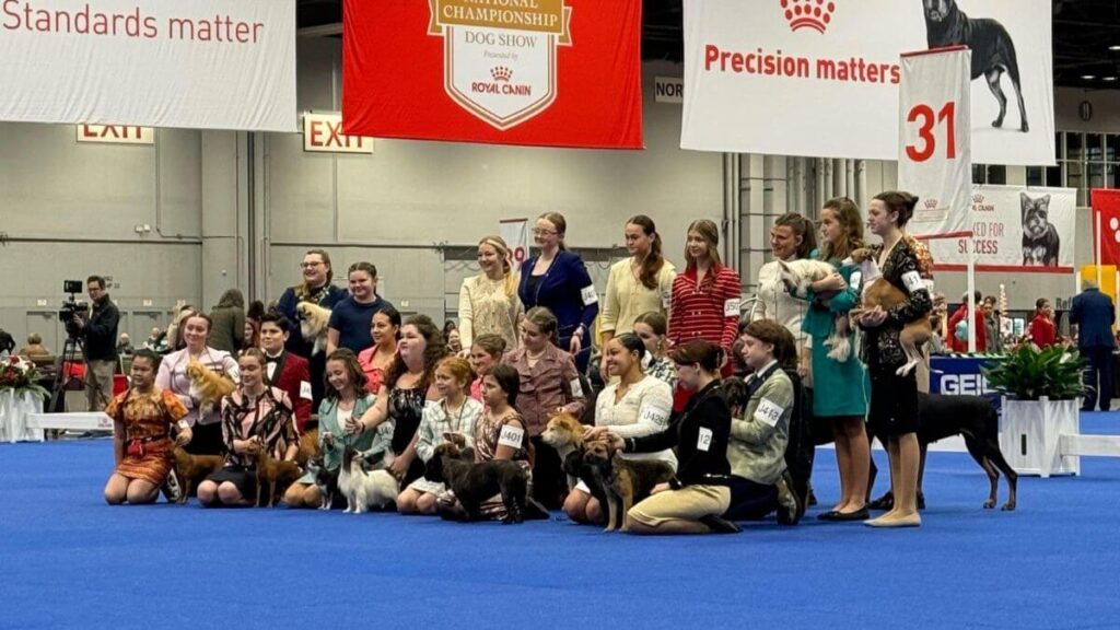 Junior Handlers