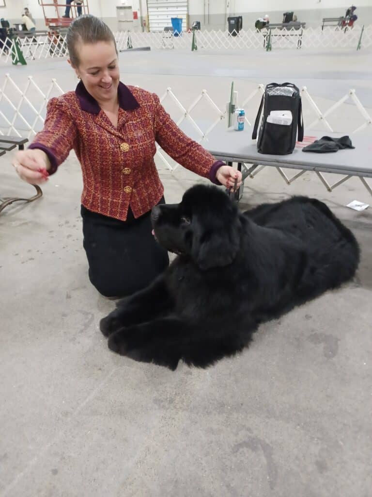 Merrimack Valley Kennel Club 2026 Show (13)