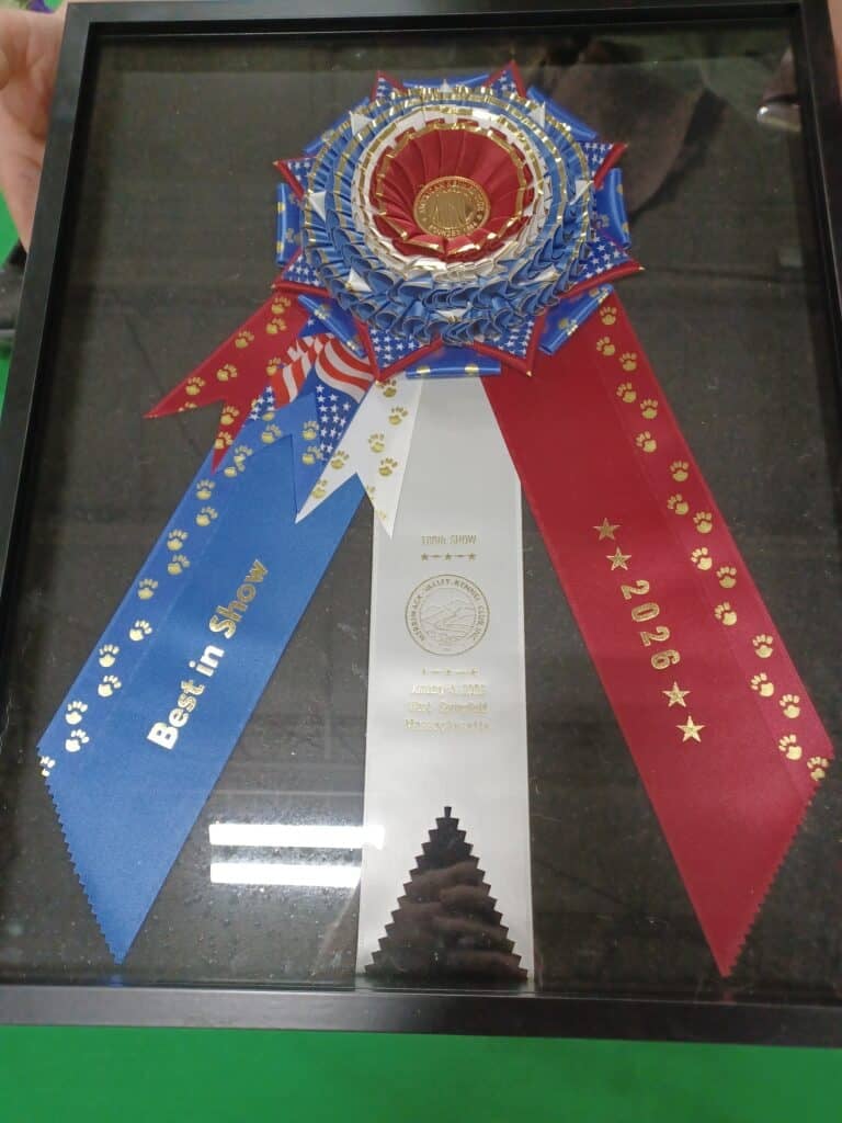 Merrimack Valley Kennel Club 2026 Show (7)